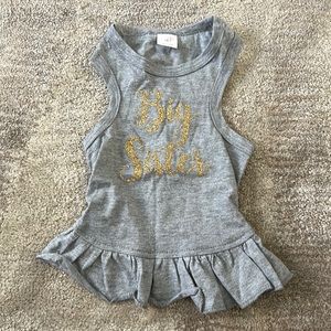 Small Dog Puppy Pet Gray Ruffle Dress that says "Big Sister" in Gold Size Small
